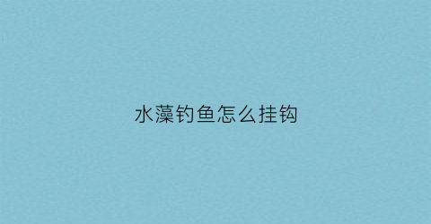 水藻钓鱼怎么挂钩(水藻钓鱼怎么挂钩视频)