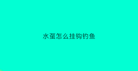 水虿怎么挂钩钓鱼(钓水鱼的鱼钩)