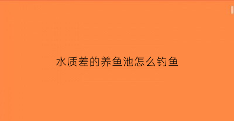 “水质差的养鱼池怎么钓鱼(水质差的养鱼池怎么钓鱼视频)