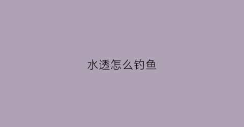 “水透怎么钓鱼(水透是什么意思)