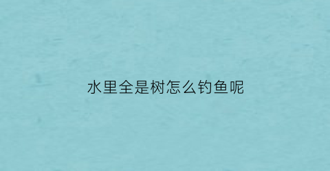 “水里全是树怎么钓鱼呢(水里全是树怎么钓鱼呢视频)