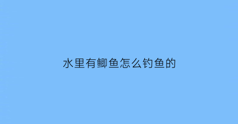 “水里有鲫鱼怎么钓鱼的(野钓鲫鱼水下视频)