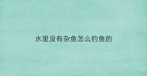 水里没有杂鱼怎么钓鱼的(水里没鱼会怎么样)
