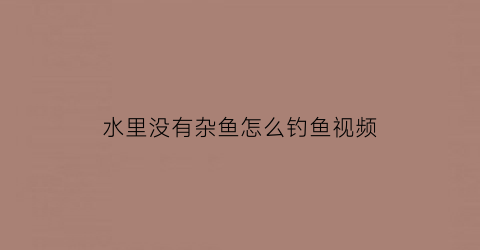 水里没有杂鱼怎么钓鱼视频(水里没有杂鱼怎么钓鱼视频教程)
