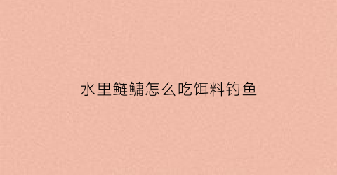 水里鲢鳙怎么吃饵料钓鱼(鲢鳙在水里吃什么)
