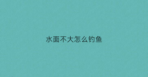 水面不大怎么钓鱼(水面不大怎么钓鱼最好)