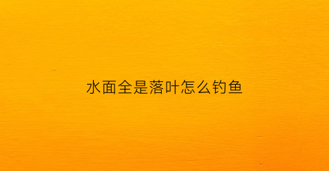 水面全是落叶怎么钓鱼(水里落叶)