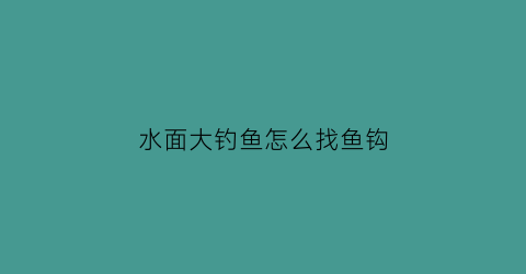 “水面大钓鱼怎么找鱼钩(野钓大水面)