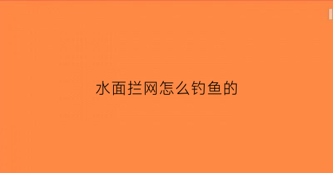 水面拦网怎么钓鱼的