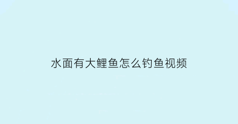水面有大鲤鱼怎么钓鱼视频