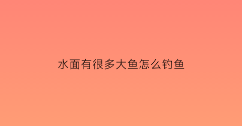 水面有很多大鱼怎么钓鱼(水面上的大鱼怎么钓)
