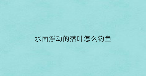 水面浮动的落叶怎么钓鱼