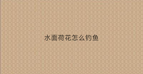 水面荷花怎么钓鱼(水面荷花怎么钓鱼最好)