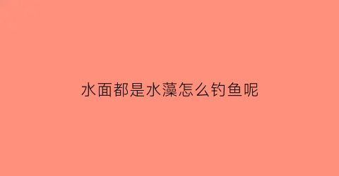 “水面都是水藻怎么钓鱼呢(水面都是水藻怎么钓鱼呢)