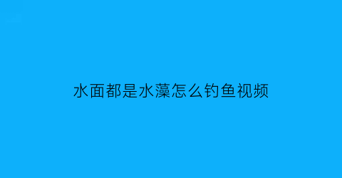 “水面都是水藻怎么钓鱼视频(水面都是水藻怎么钓鱼视频教程)