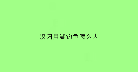 汉阳月湖钓鱼怎么去