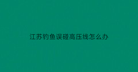 江苏钓鱼误碰高压线怎么办(钓鱼碰高压线触电死亡9月7日)