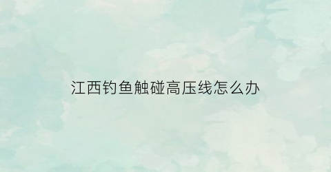 江西钓鱼触碰高压线怎么办(钓鱼网红触碰高压线)