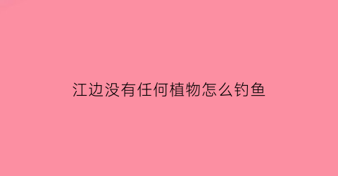 江边没有任何植物怎么钓鱼(在江边钓鱼用什么钓好上鱼)