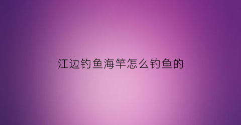 江边钓鱼海竿怎么钓鱼的