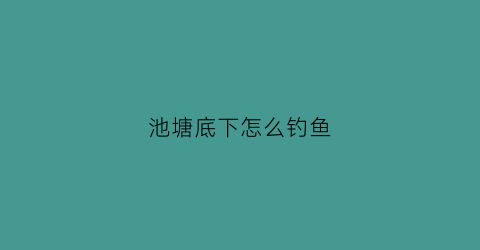 池塘底下怎么钓鱼(怎么在池塘钓鱼)