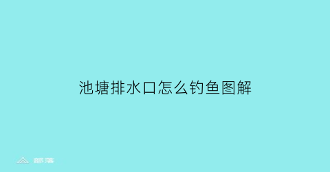 池塘排水口怎么钓鱼图解(鱼塘排水闸口图)