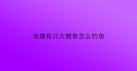 池塘有只大鲤鱼怎么钓鱼(池塘的鲤鱼)