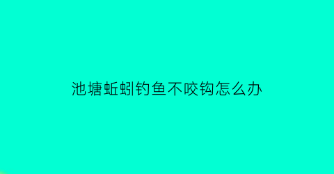 “池塘蚯蚓钓鱼不咬钩怎么办(蚯蚓鱼不咬钩是什么原因)