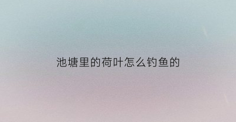 池塘里的荷叶怎么钓鱼的(荷叶多的池塘怎么钓鱼)