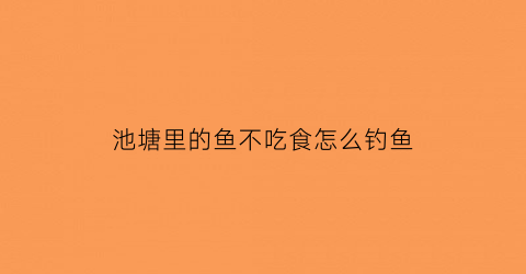 池塘里的鱼不吃食怎么钓鱼