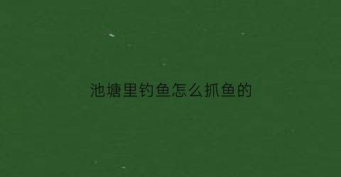 池塘里钓鱼怎么抓鱼的