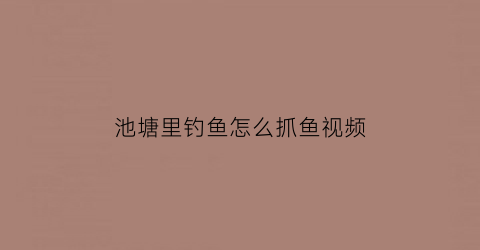 池塘里钓鱼怎么抓鱼视频(池塘里钓鱼怎么抓鱼视频教学)