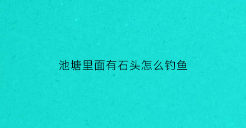 池塘里面有石头怎么钓鱼