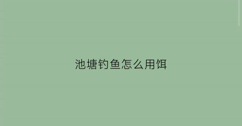 池塘钓鱼怎么用饵(钓池塘鱼用什么饵料)