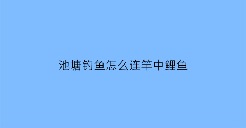 池塘钓鱼怎么连竿中鲤鱼(池塘钓鲤鱼怎么调漂最好)
