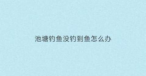 池塘钓鱼没钓到鱼怎么办