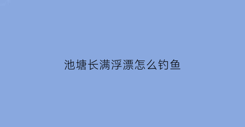 池塘长满浮漂怎么钓鱼(长满浮漂的池塘里面有鱼吗)
