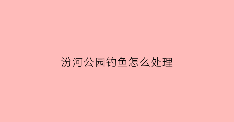 “汾河公园钓鱼怎么处理(汾河公园开了吗)