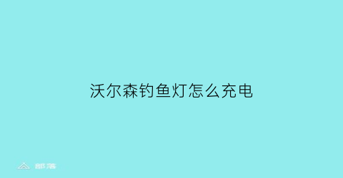 沃尔森钓鱼灯怎么充电(沃尔森夜钓灯8009电池更换)