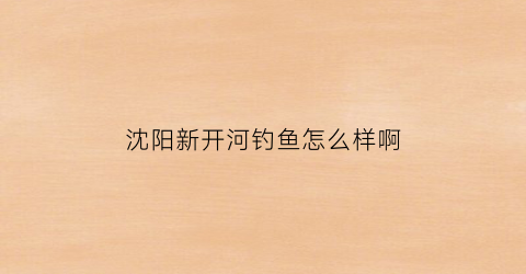 “沈阳新开河钓鱼怎么样啊(沈阳新开河钓鱼怎么样啊多少钱)