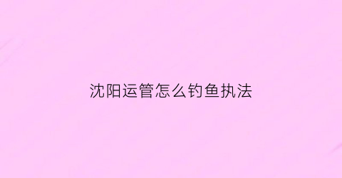 沈阳运管怎么钓鱼执法(沈阳运管抓网约车用什么方法)