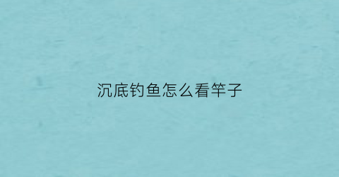 沉底钓鱼怎么看竿子(沉底钓鱼怎么看竿子型号)