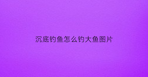 沉底钓鱼怎么钓大鱼图片(沉底钓鱼怎么调漂)