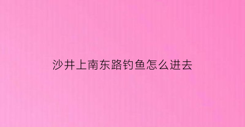 沙井上南东路钓鱼怎么进去(沙井上南村)