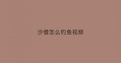 沙僧怎么钓鱼视频(沙僧怎么钓鱼视频教程)