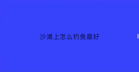 沙滩上怎么钓鱼最好(沙滩钓鱼技巧视频教程)