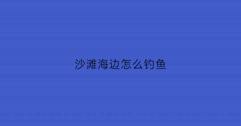 沙滩海边怎么钓鱼(沙滩钓鱼要怎样才有鱼获)