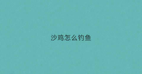 沙鸡怎么钓鱼(沙鸡吃什么好养不)
