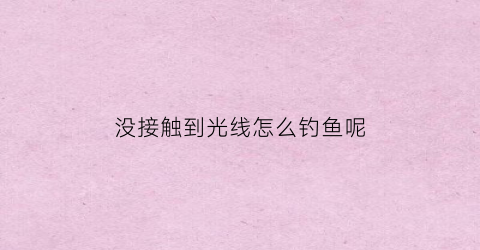 没接触到光线怎么钓鱼呢(没有光线鱼能看见吗)