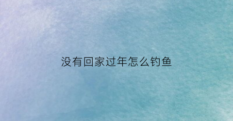 没有回家过年怎么钓鱼(没回家过年的感言词)